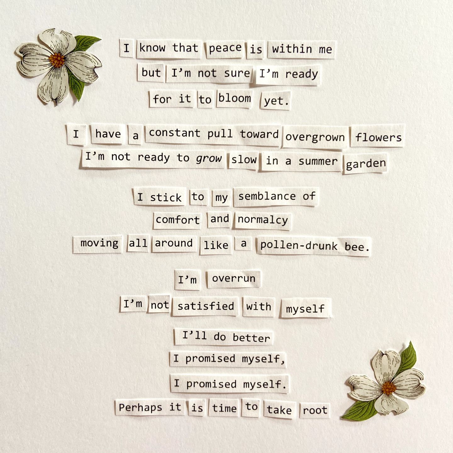 I'm not ready to grow slow in a summer garden
